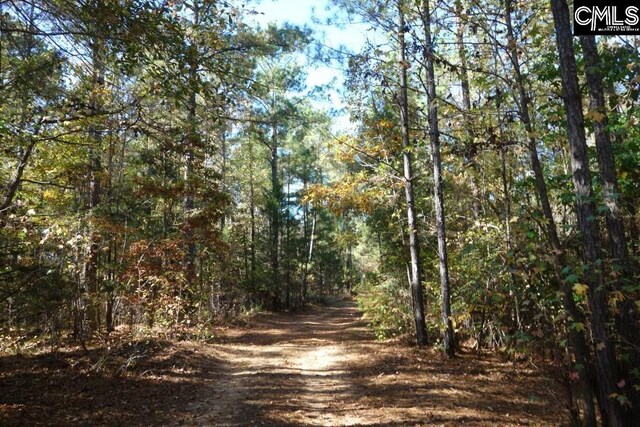 0 Great N Rd, Winnsboro, SC 29180