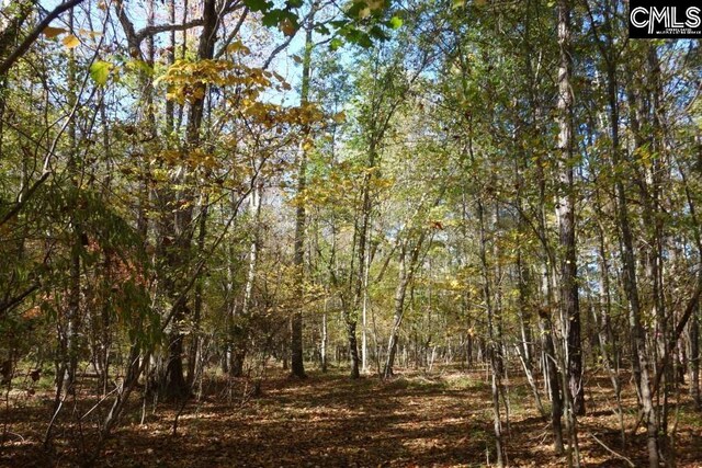 0 Great N Rd, Winnsboro, SC 29180