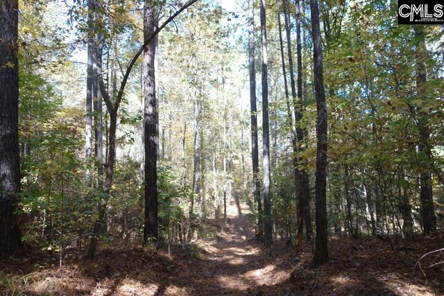 0 Great N Rd, Winnsboro, SC 29180