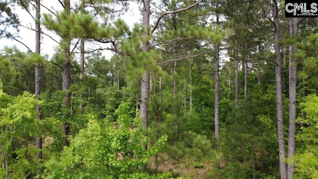 0 Great N Rd, Winnsboro, SC 29180