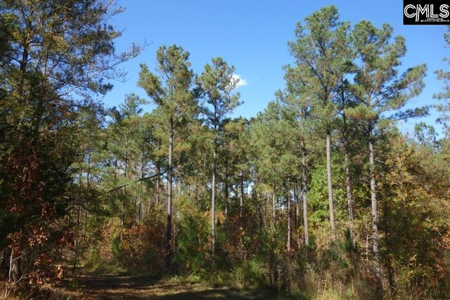 0 Great N Rd, Winnsboro, SC 29180