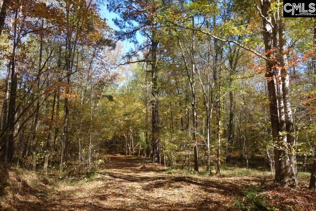 0 Great N Rd, Winnsboro, SC 29180