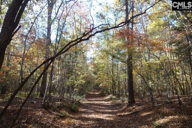 0 Great N Rd, Winnsboro, SC 29180