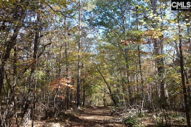 0 Great N Rd, Winnsboro, SC 29180