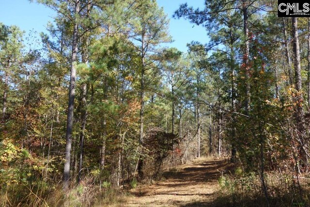 0 Great N Rd, Winnsboro, SC 29180