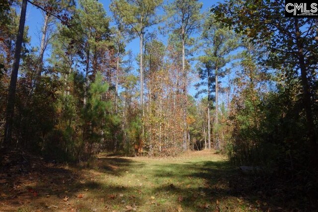 0 Great N Rd, Winnsboro, SC 29180