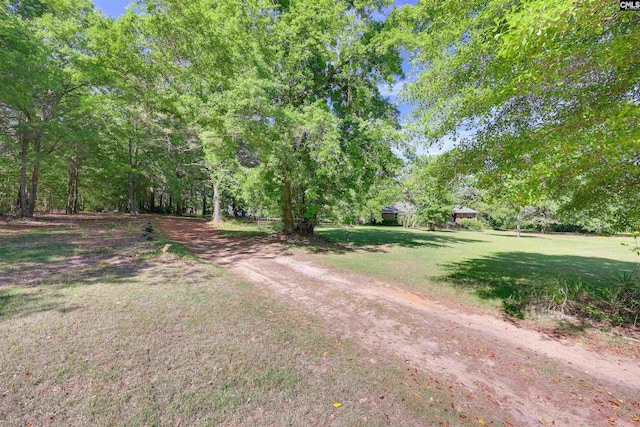 view of street with dirt driveway