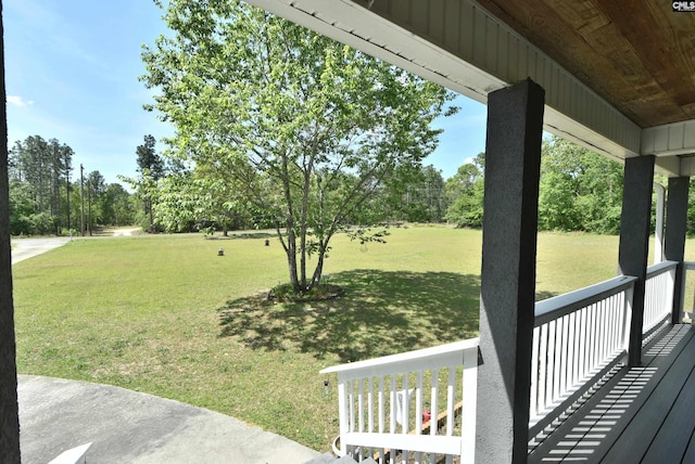 view of yard