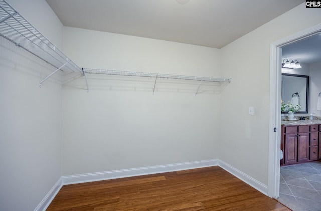 walk in closet featuring dark wood-style floors