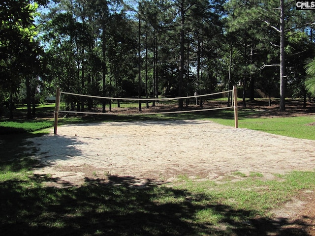 15 Mapleleaf Dr, Columbia, SC 29229 - surrounding community with volleyball court and a yard