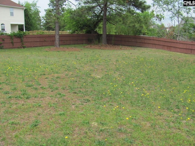 15 Mapleleaf Dr, Columbia, SC 29229 - view of yard