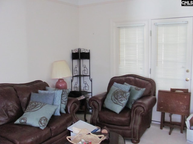 15 Mapleleaf Dr, Columbia, SC 29229 - living area featuring carpet floors