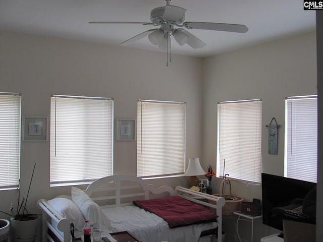 15 Mapleleaf Dr, Columbia, SC 29229 - bedroom featuring ceiling fan