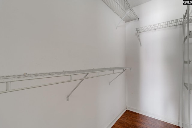walk in closet featuring dark wood-style flooring