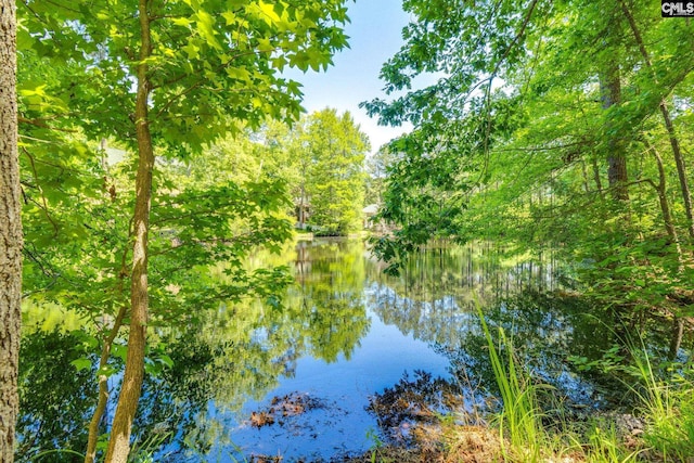 water view