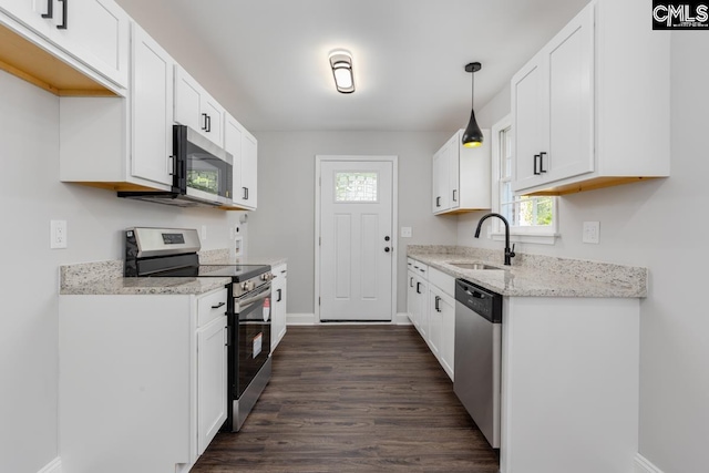 kitchen with a sink, stainless steel appliances, dark wood-style floors, and a healthy amount of sunlight