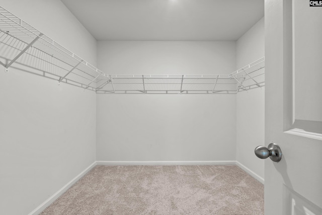 105 Maple Ct, Lugoff, SC 29073 - walk in closet featuring carpet floors