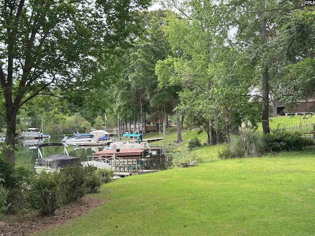 107 Old Sawmill Trl, Chapin, SC 29036 - view of grassy yard featuring a dock