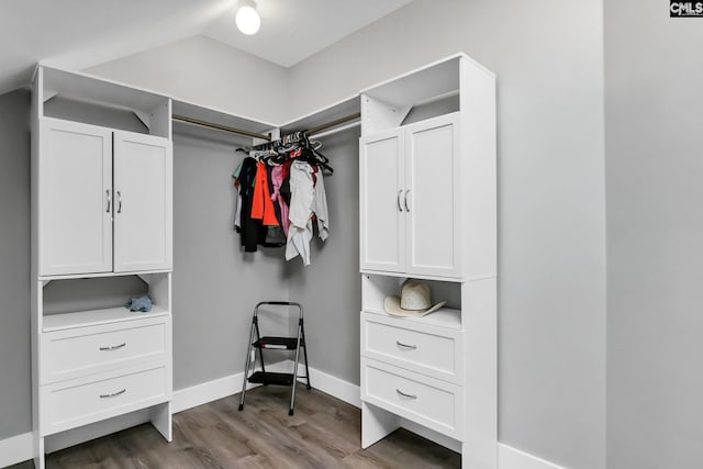 walk in closet featuring wood finished floors