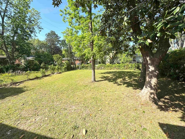 view of yard