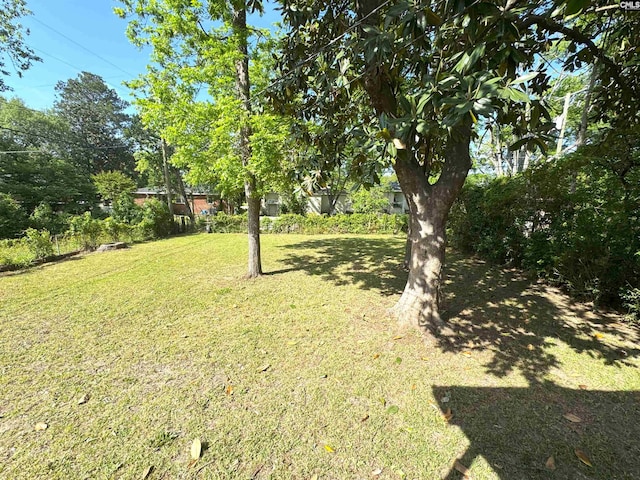 view of yard
