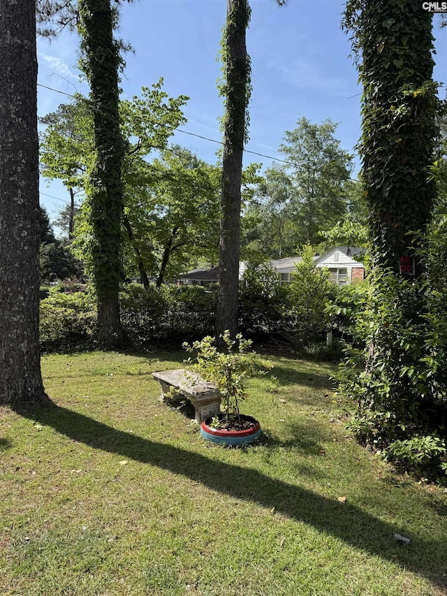 729 Vernon St, Columbia, SC 29203 - view of yard