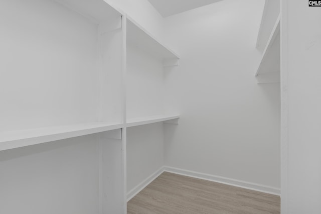 spacious closet with wood finished floors