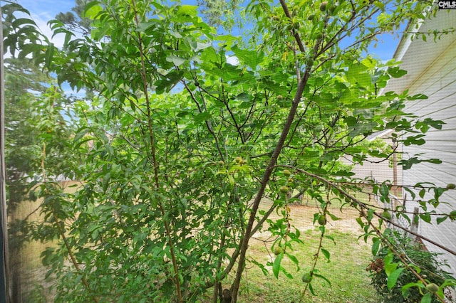 view of nature