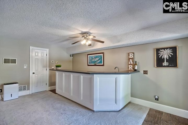 121 Cove View Dr, Irmo, SC 29063 - bar with ceiling fan, light colored carpet, a textured ceiling, indoor wet bar, and visible vents