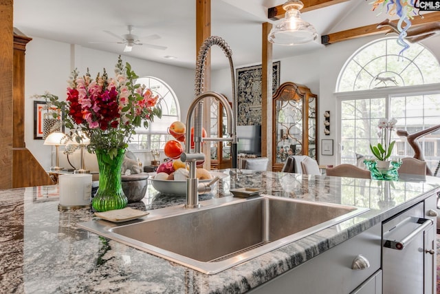 kitchen with a sink, stainless steel dishwasher, a wealth of natural light, and a ceiling fan