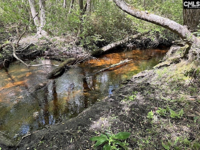 view of nature
