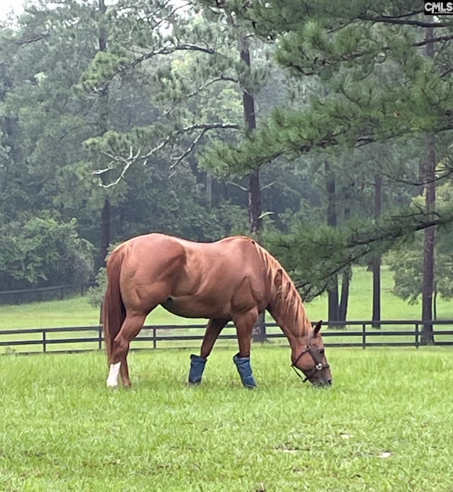 view of horse barn featuring a forest view