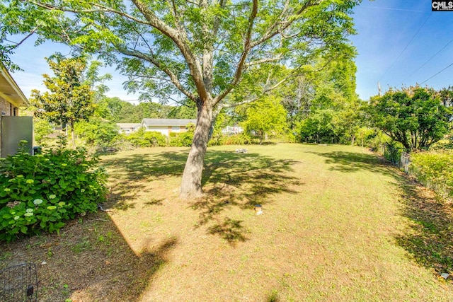 view of yard