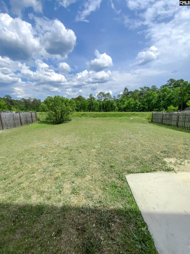 320 Southbrook Dr, Lexington, SC 29073 - view of yard with fence