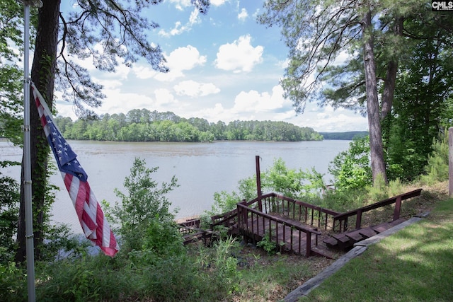 2081 Great N Rd, Winnsboro, SC 29180 - view of dock with a water view and a wooded view