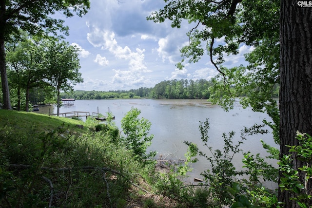 2081 Great N Rd, Winnsboro, SC 29180 - property view of water featuring a wooded view