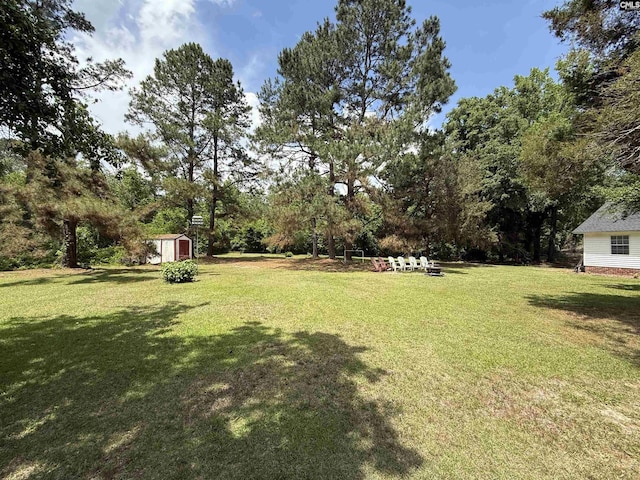 view of yard with an outdoor structure and a storage unit