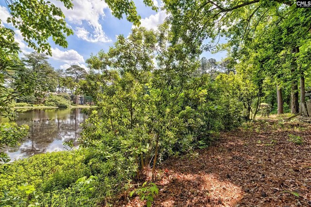 view of nature featuring a water view