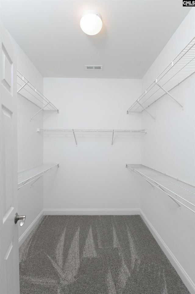 walk in closet with carpet floors and visible vents