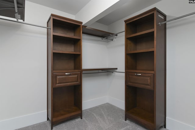 15 Glenlake Rd, Columbia, SC 29223 - spacious closet with light carpet