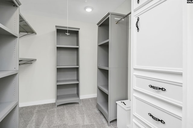 15 Glenlake Rd, Columbia, SC 29223 - walk in closet with light colored carpet and attic access