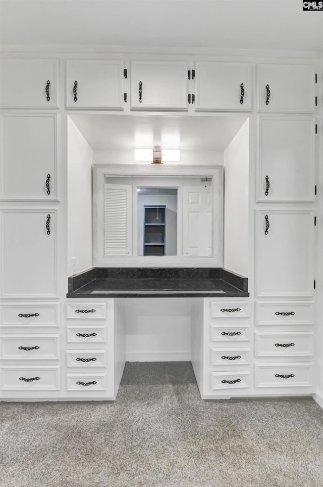 15 Glenlake Rd, Columbia, SC 29223 - mudroom featuring carpet