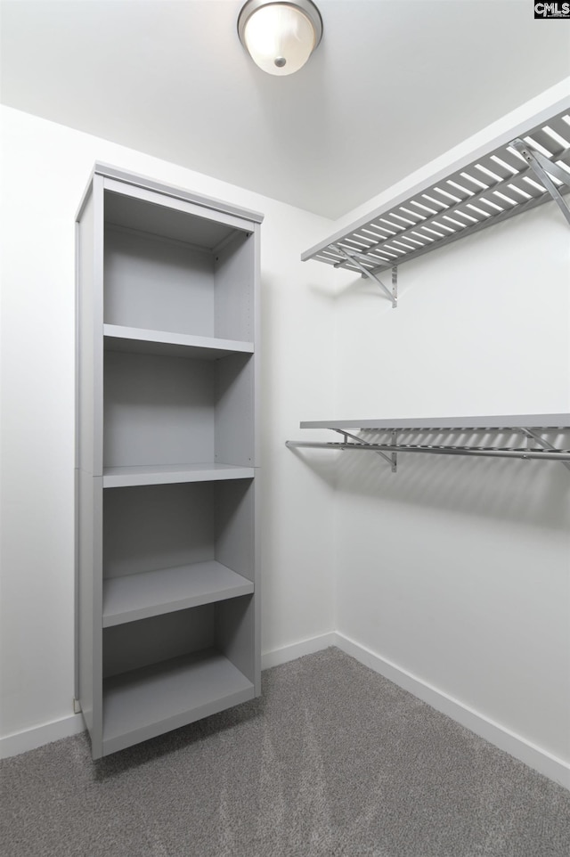 15 Glenlake Rd, Columbia, SC 29223 - walk in closet featuring carpet flooring