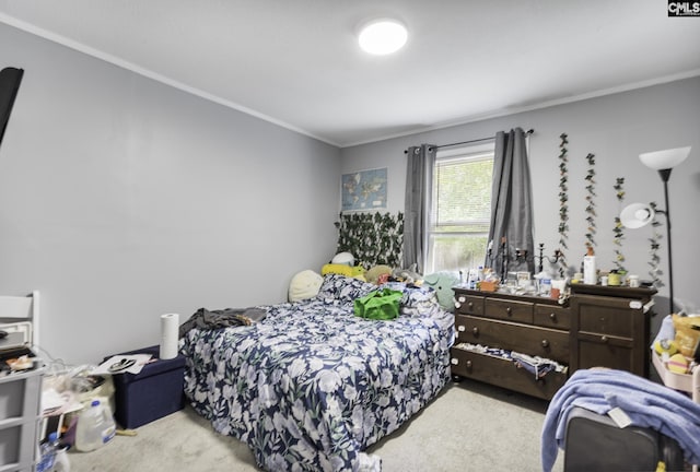 carpeted bedroom with crown molding