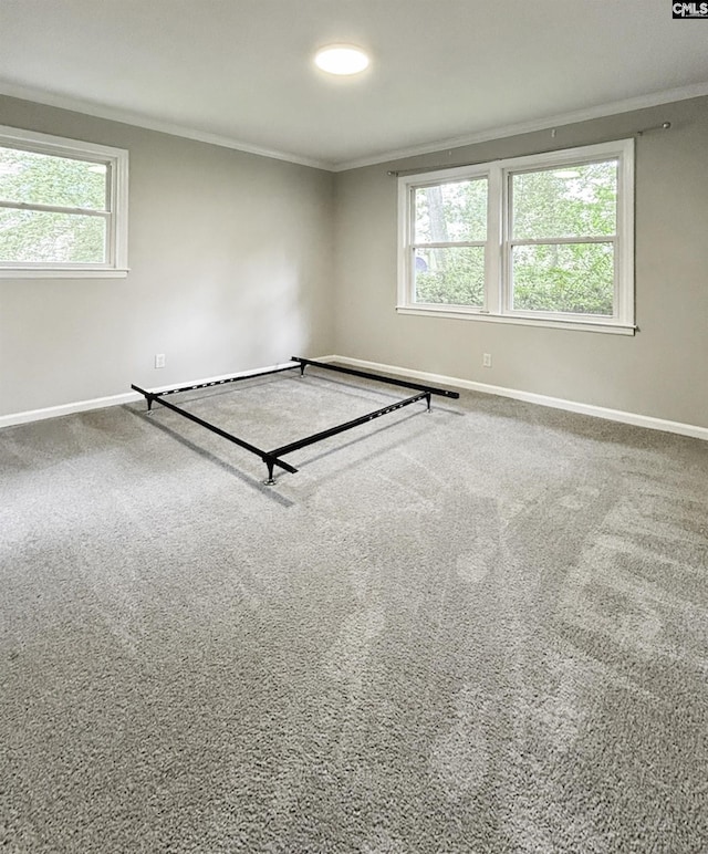 carpeted spare room with crown molding and baseboards