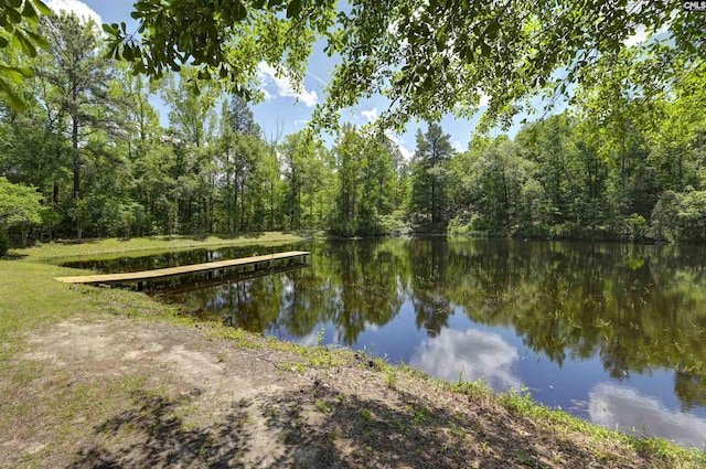 property view of water featuring a wooded view