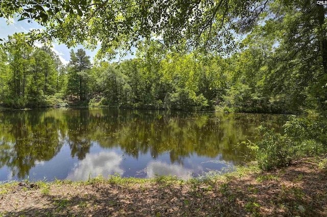 property view of water with a wooded view