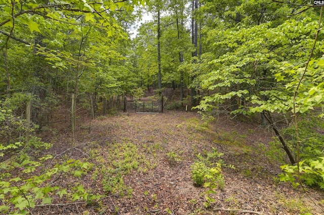 view of yard with a view of trees