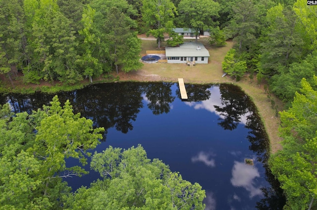 drone / aerial view featuring a water view and a view of trees