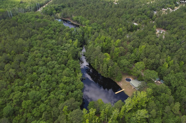 birds eye view of property featuring a water view and a forest view